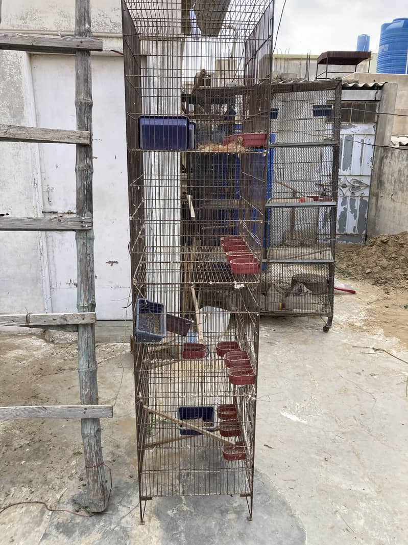 Iron cages 3