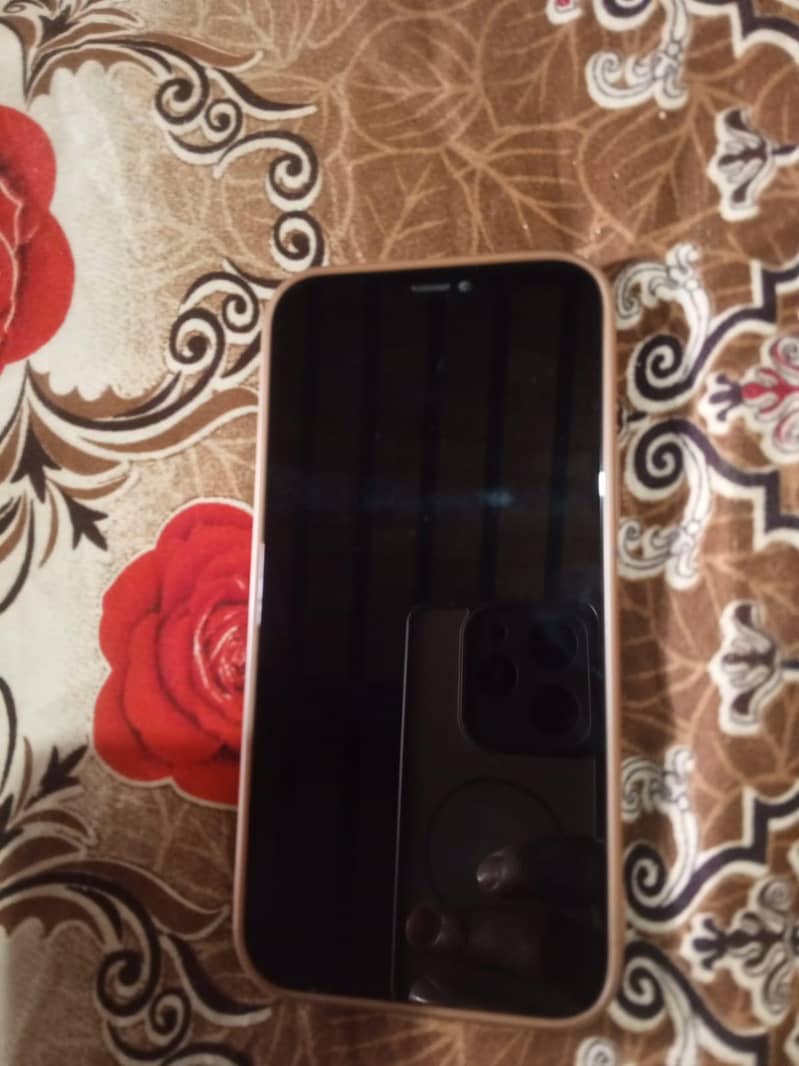 Apple iPhone 12 Pro 0