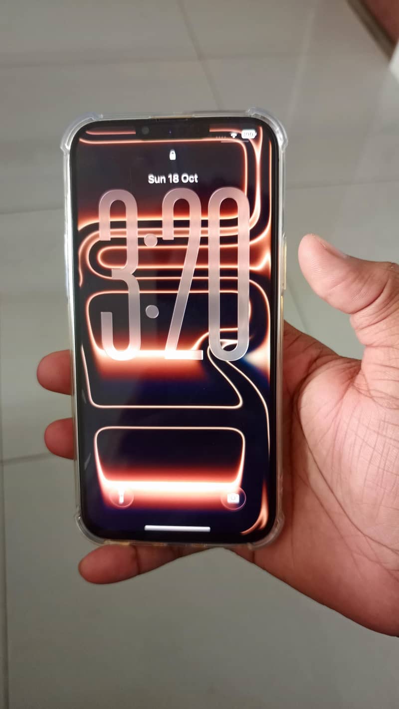 Apple iPhone 13 Pro Max 1