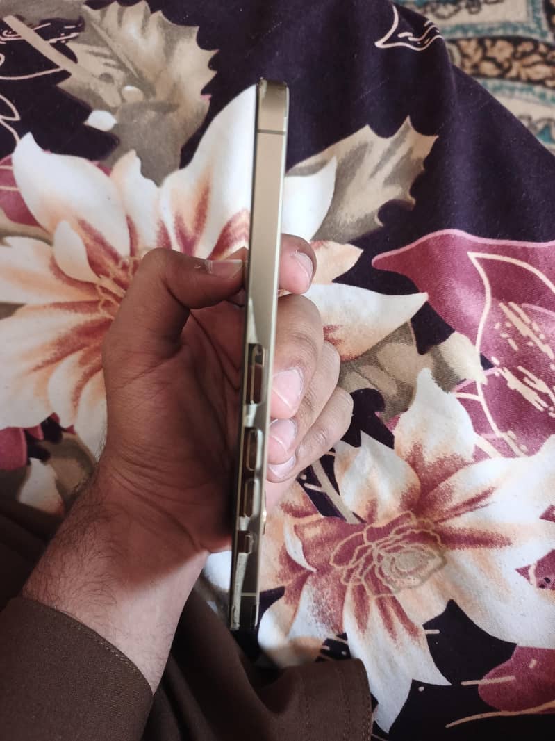 Apple iPhone 13 Pro Max 3