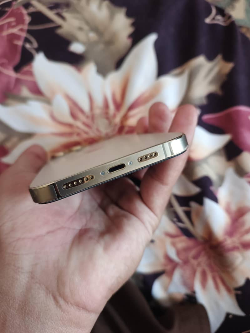 Apple iPhone 13 Pro Max 4