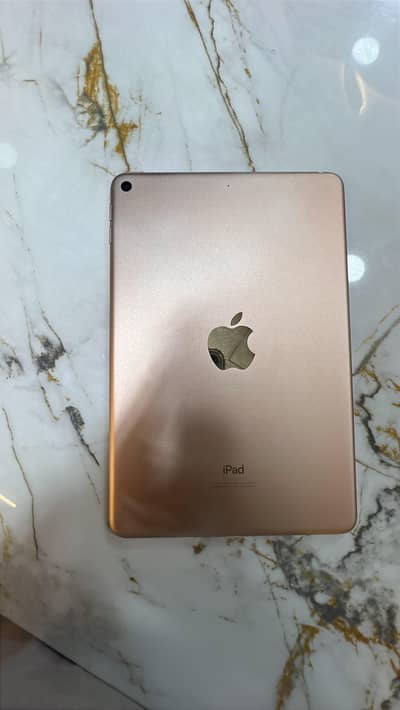 Apple iPhone Other Model