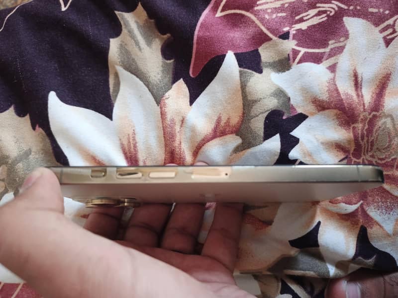 Apple iPhone 13 Pro Max 2