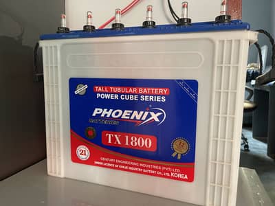 Phoenix Tubular Battery 1800 with Omega UPS System