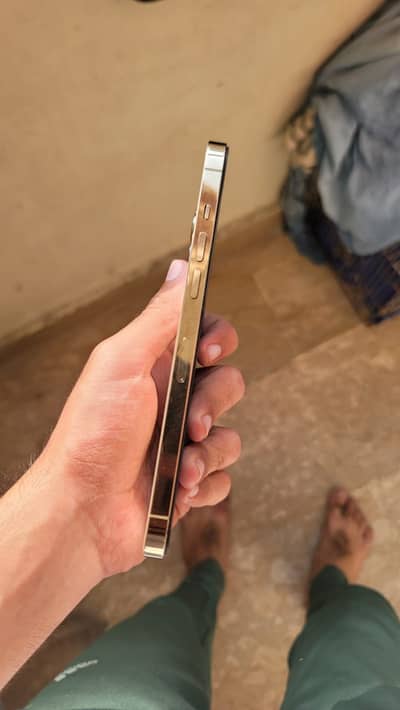 Apple iPhone 12 Pro Max