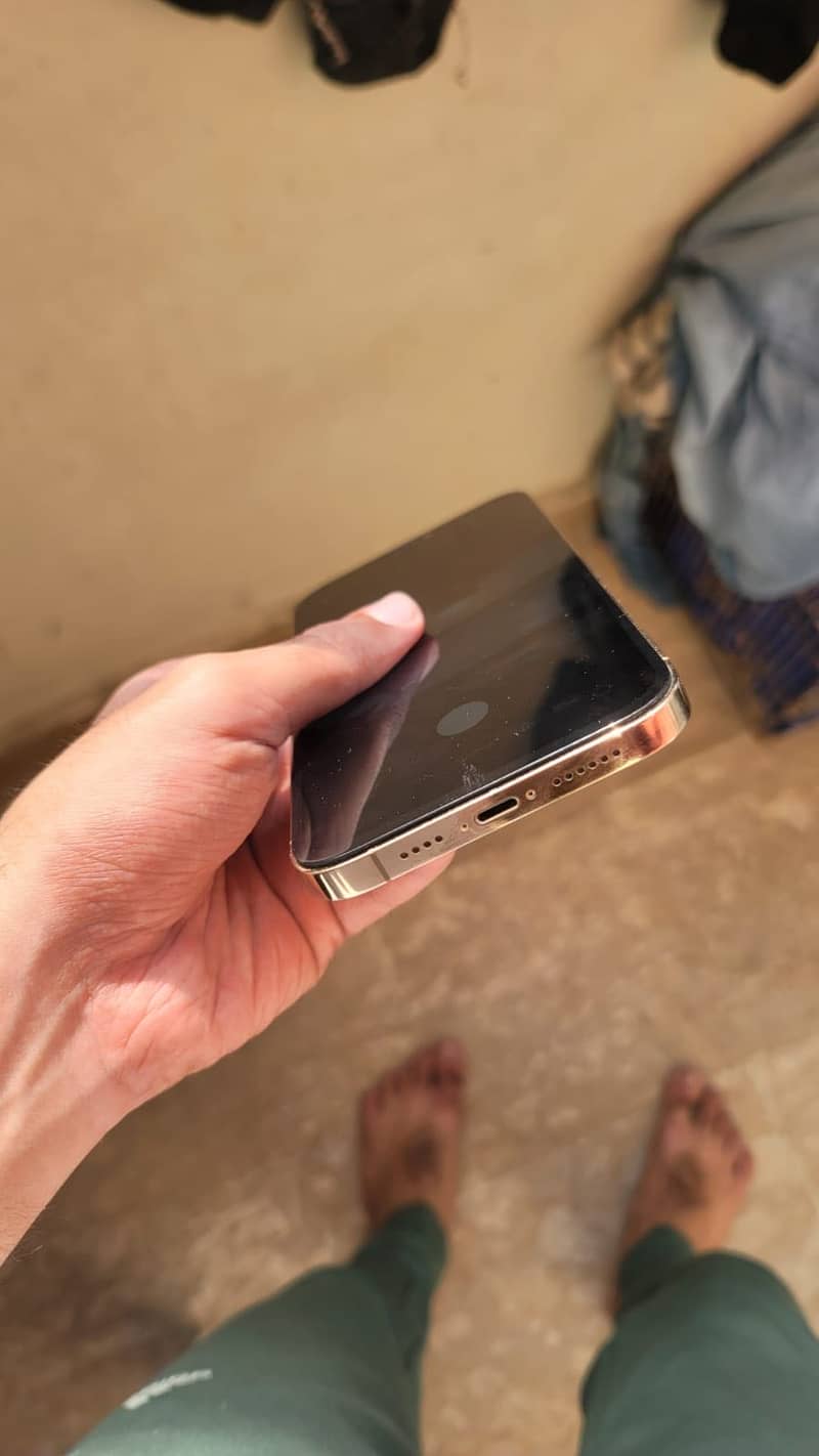 Apple iPhone 12 Pro Max 1