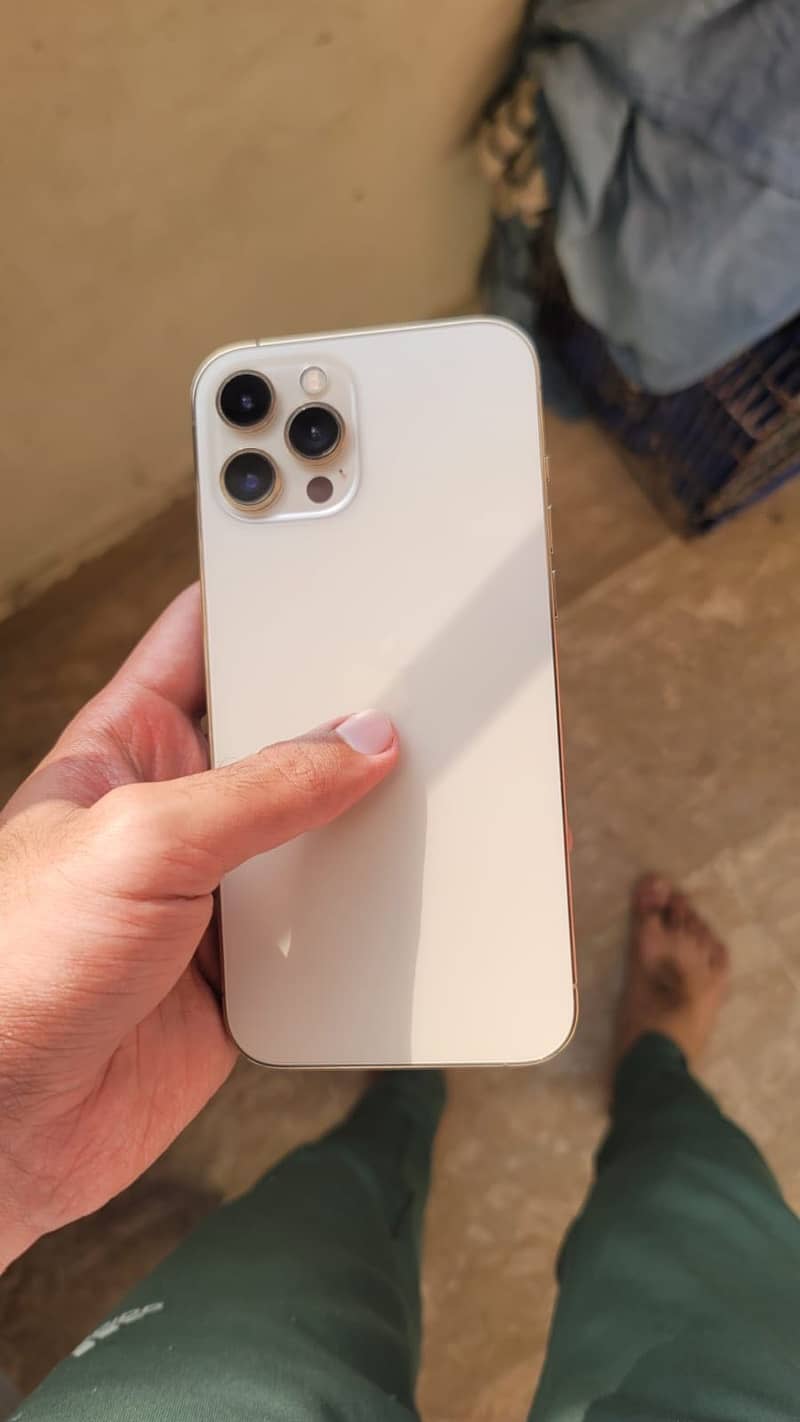 Apple iPhone 12 Pro Max 2