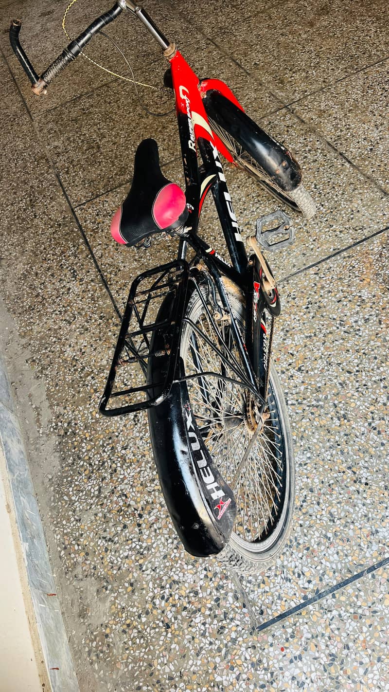 utility/roadsters bicycle 2