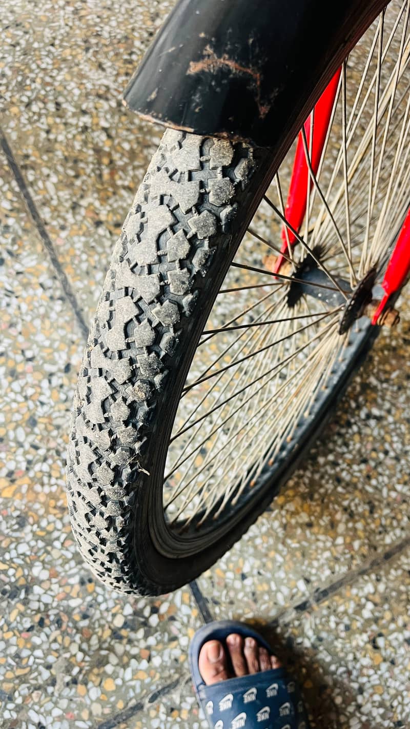 utility/roadsters bicycle 4