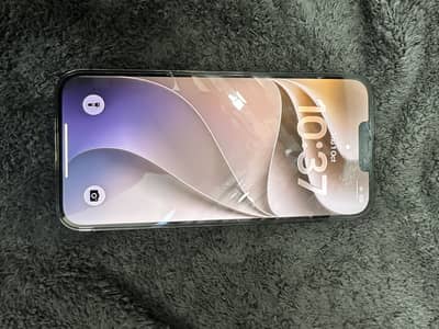 Apple iPhone 13 Pro Max jv