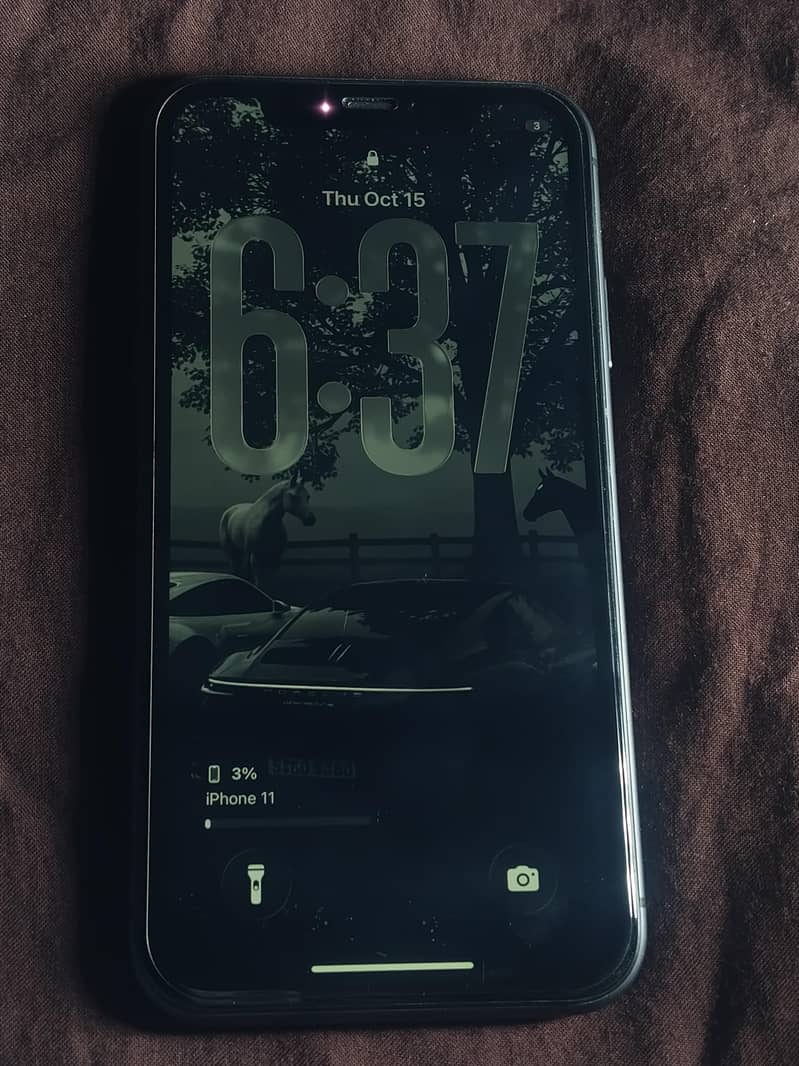 Apple iPhone 11 0