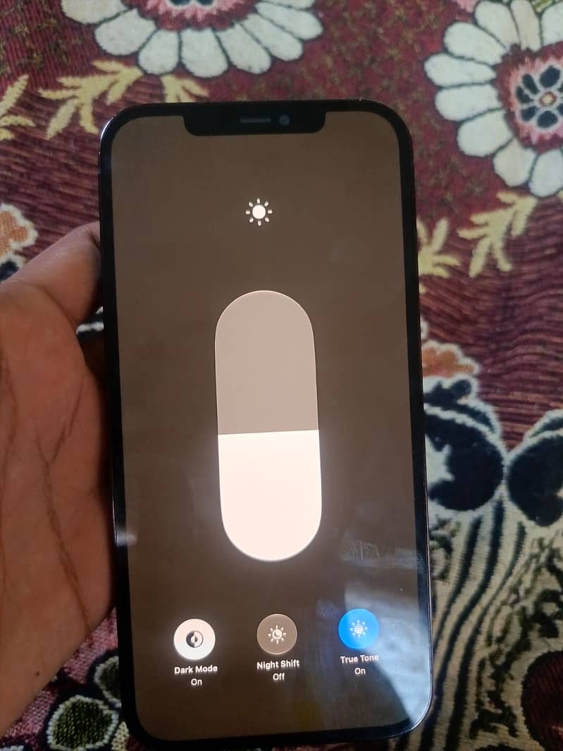 Apple iPhone 12 Pro Max 3