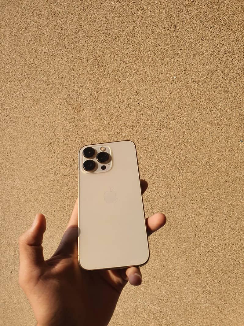 Apple iPhone 13 Pro 0