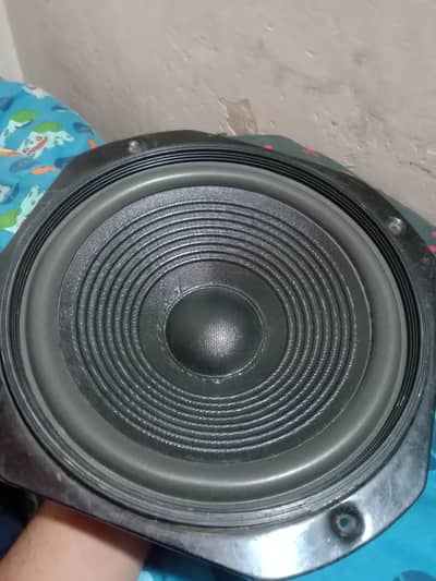 10 inch speaker japani