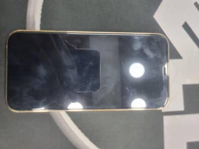 Apple iPhone 12 Pro