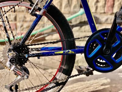 Phoenix Bicycle in Good Running Condition – Stylish BMX Style
