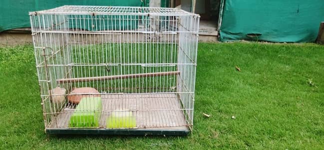 All cages for Sale
