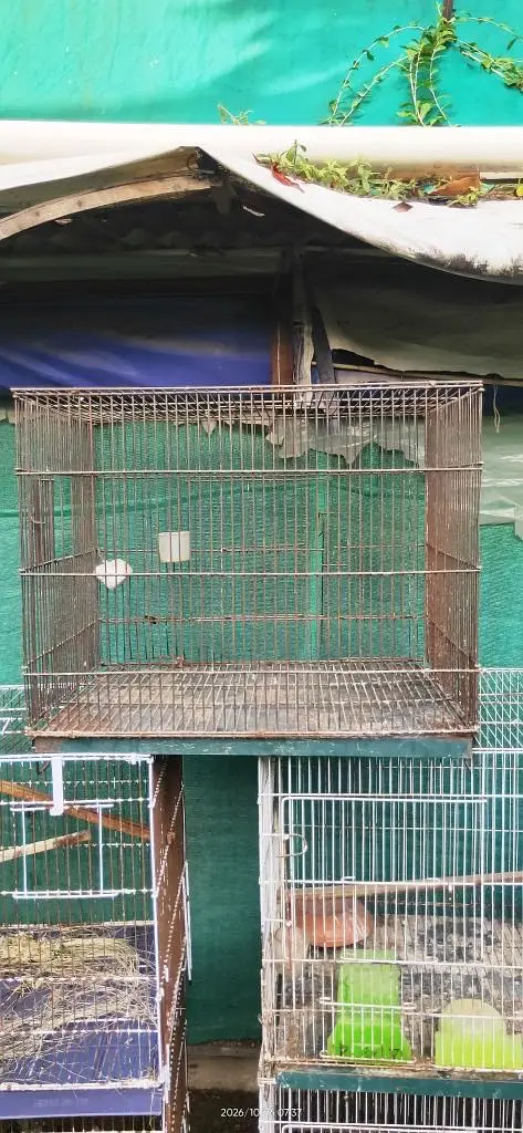 All cages for Sale — photo 2