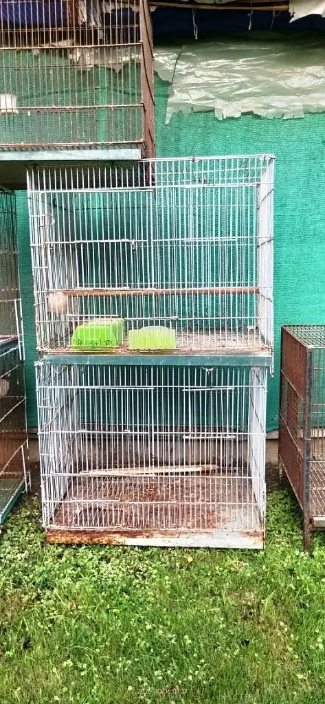All cages for Sale — photo 3