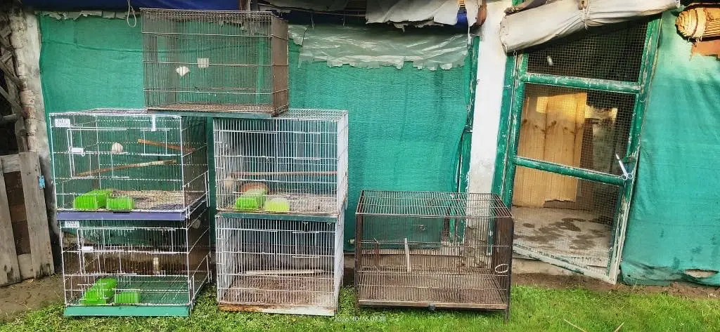 All cages for Sale — photo 4
