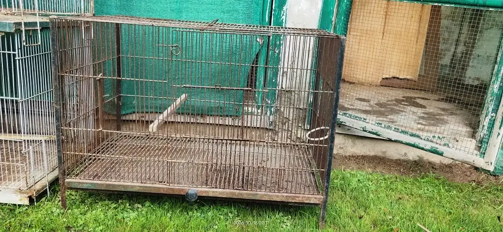 All cages for Sale — photo 5