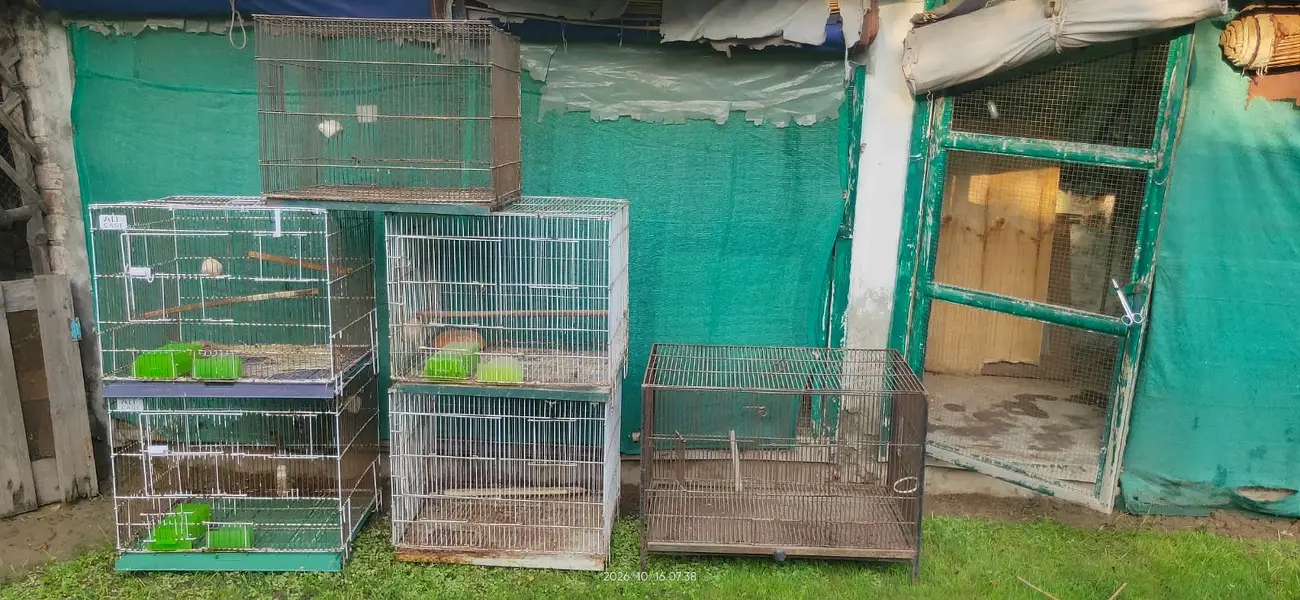 All cages for Sale — photo 6