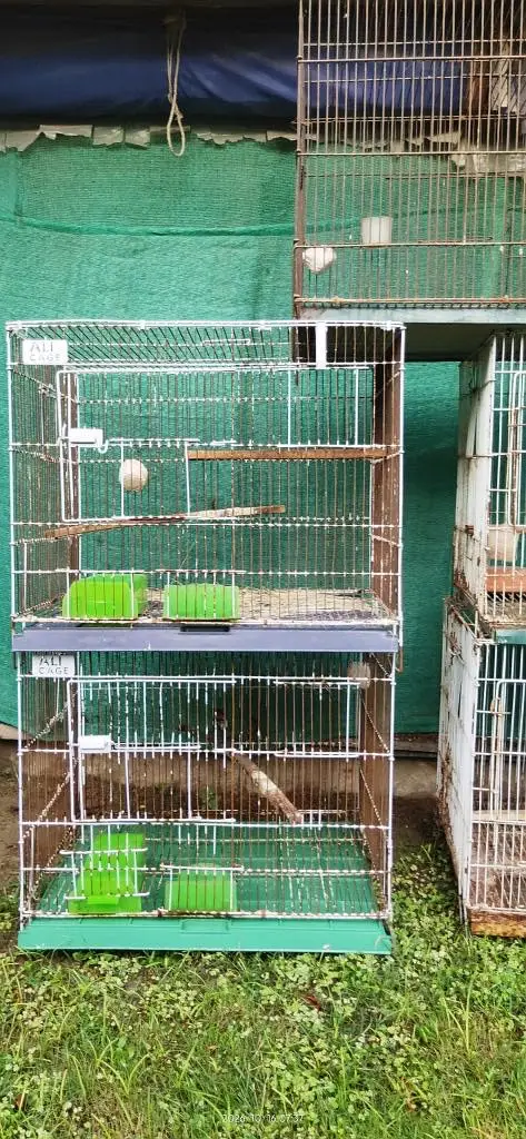 All cages for Sale — photo 7