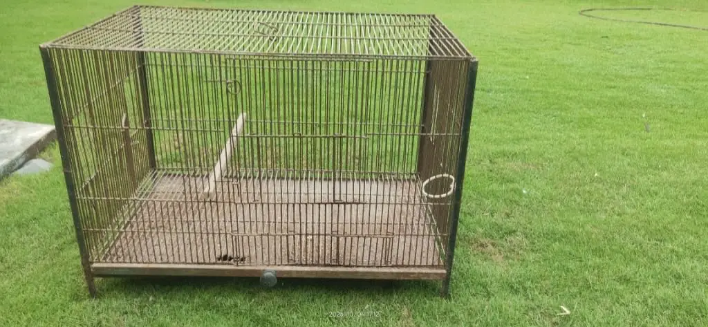 All cages for Sale — photo 8