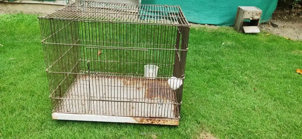 All cages for Sale — photo 9