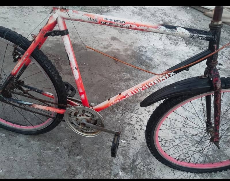 phoenix cycle 0