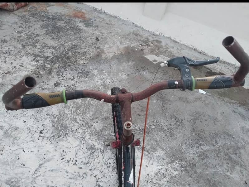 phoenix cycle 2