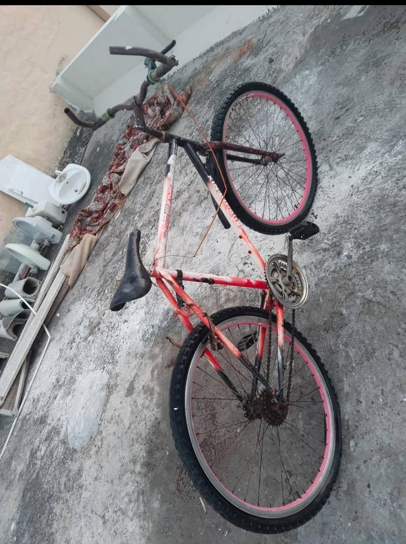 phoenix cycle 3