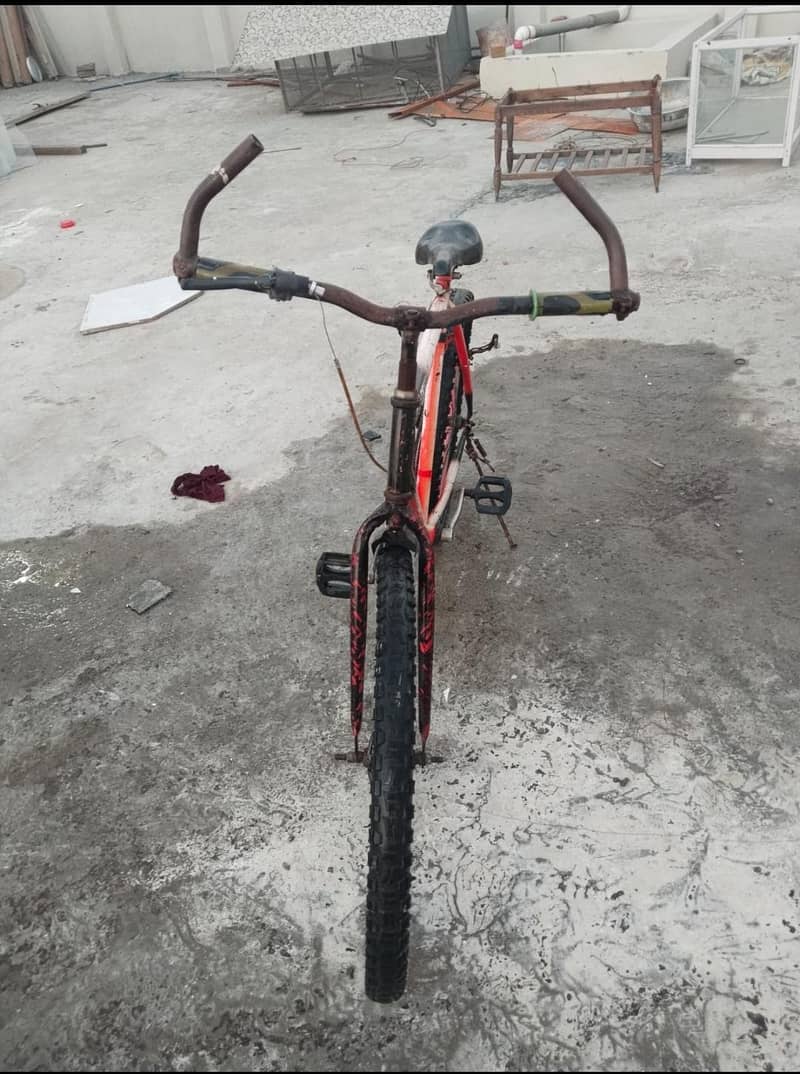 phoenix cycle 4