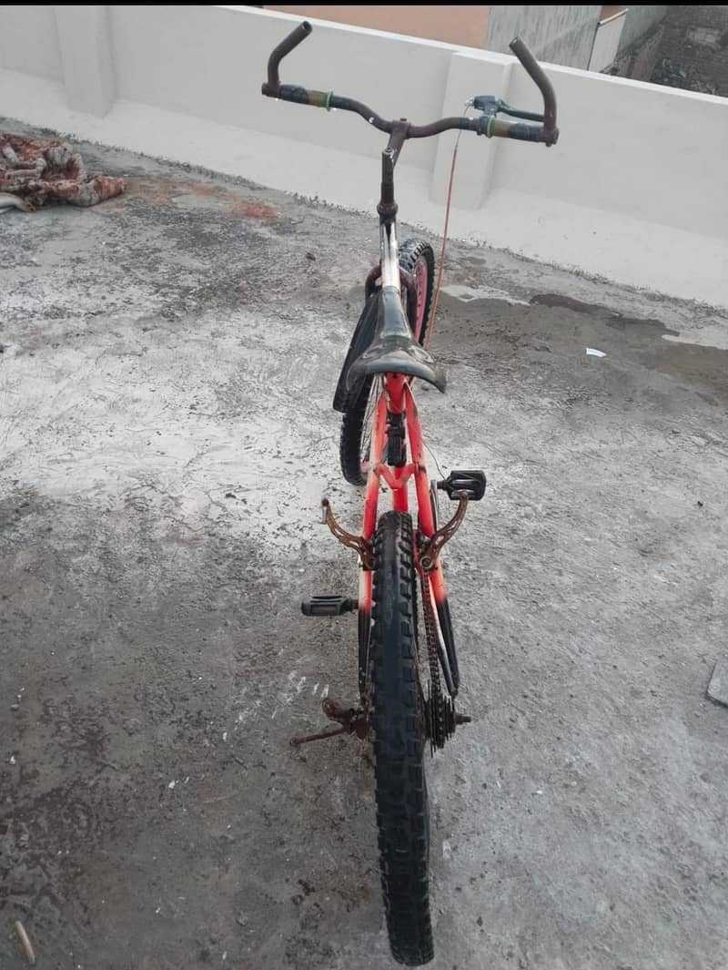 phoenix cycle 6