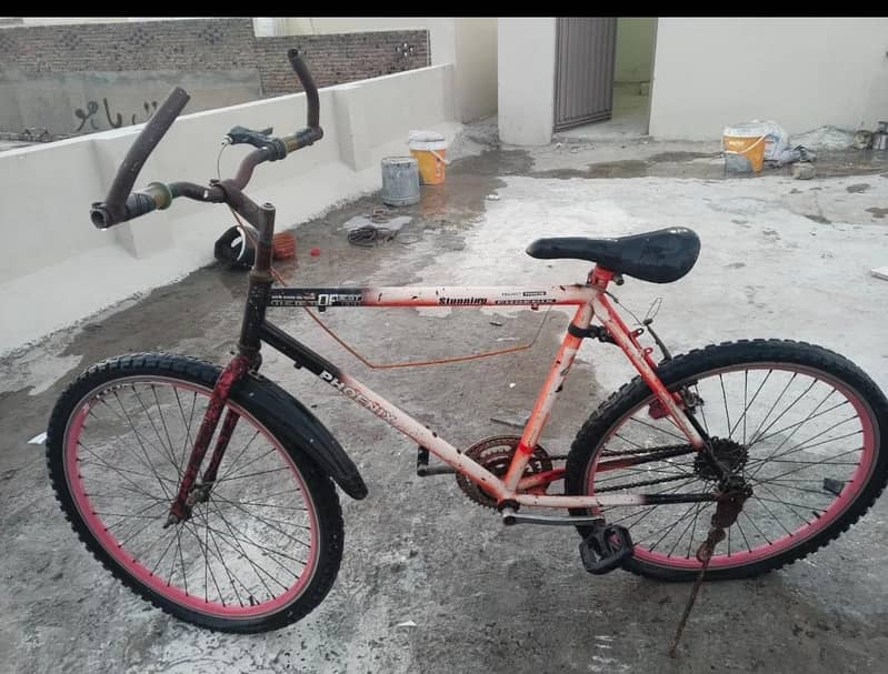phoenix cycle 7