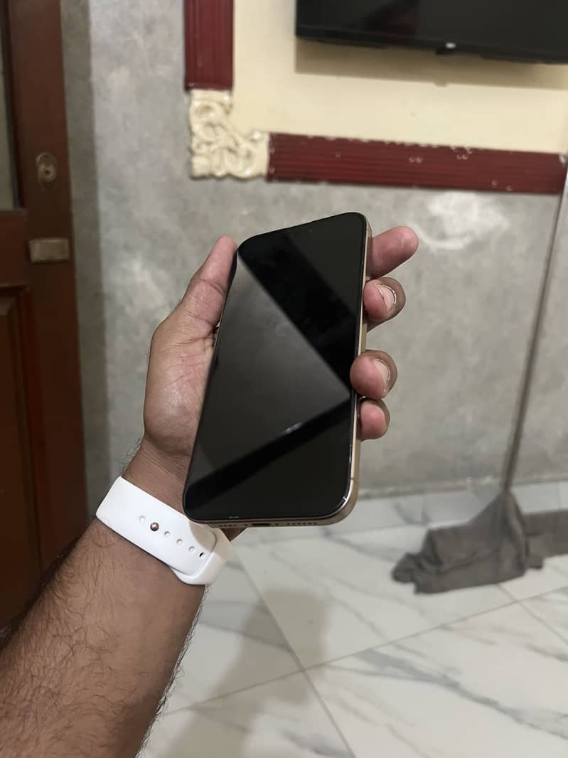 Apple iPhone 16 Pro Max 2