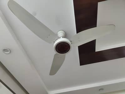 7 Royal Cieling Fans for Sale 8000 each. Read ad first
