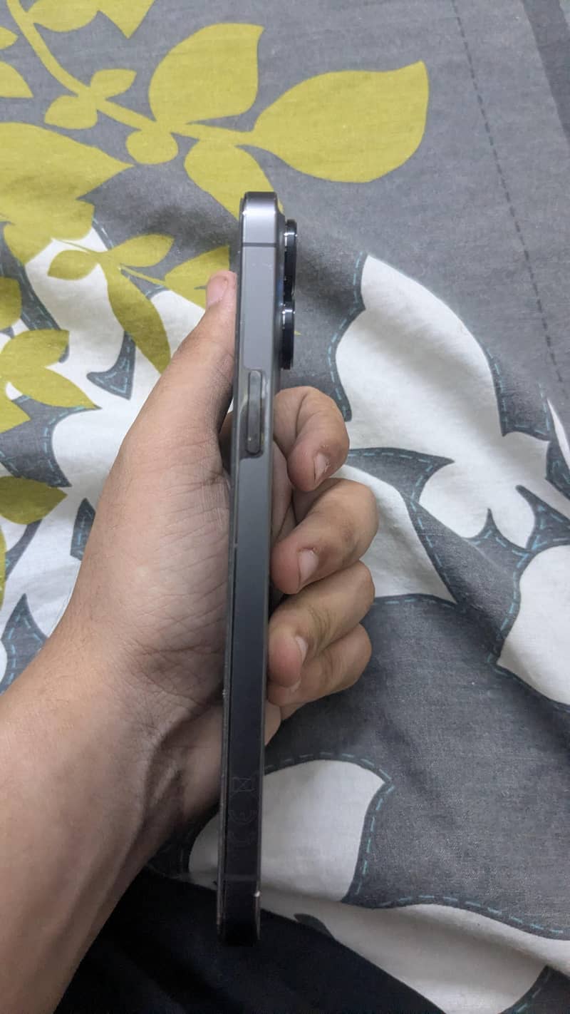 Apple iPhone 13 Pro Max 2