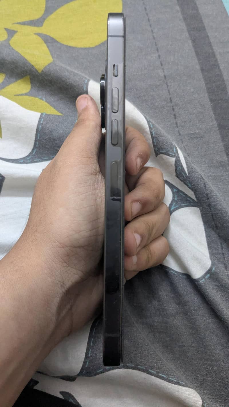 Apple iPhone 13 Pro Max 3