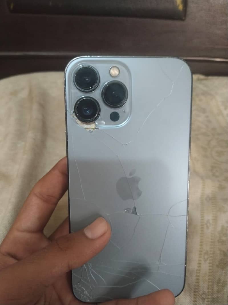 Apple iPhone 13 Pro Max 1
