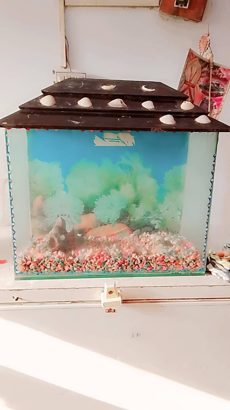 fish eqoriam 1
