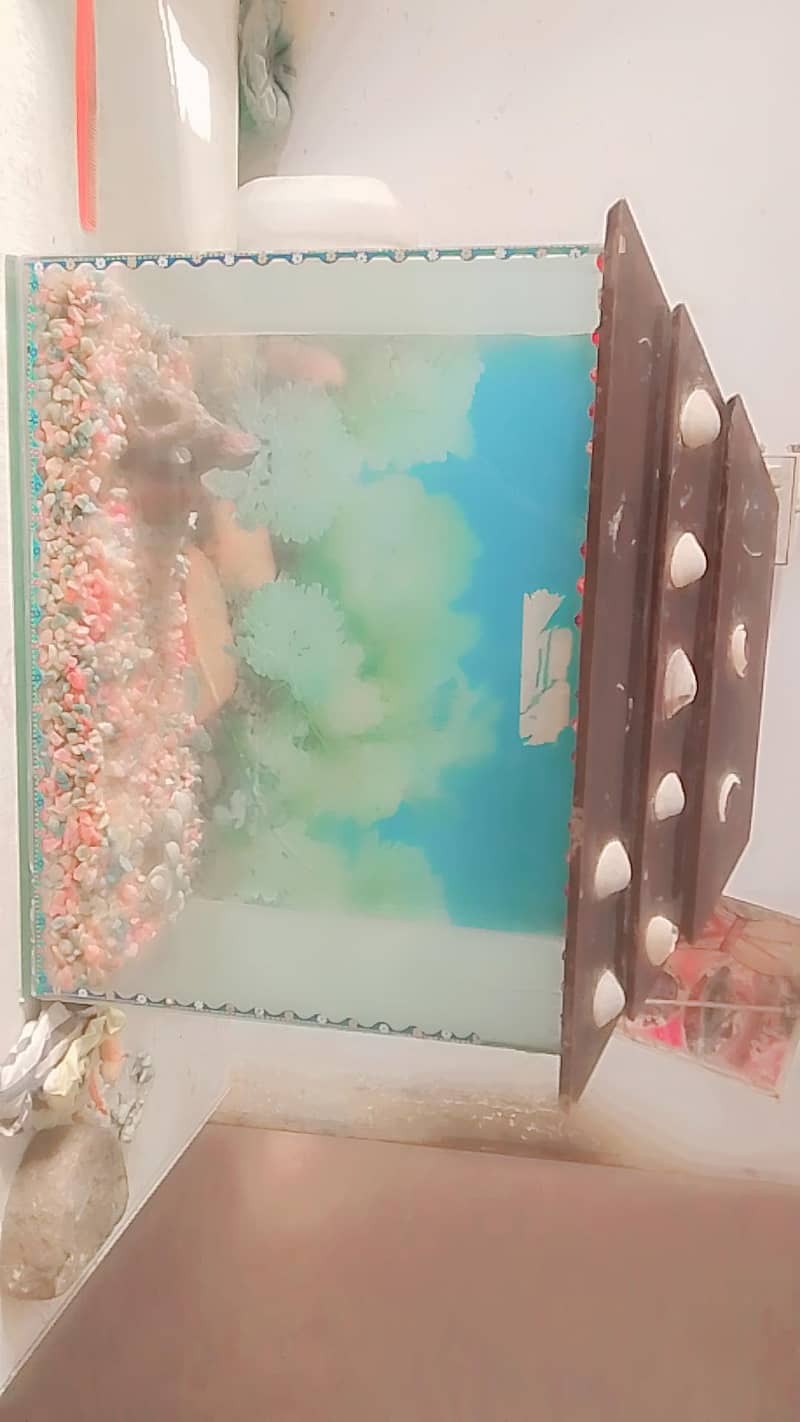 fish eqoriam 3