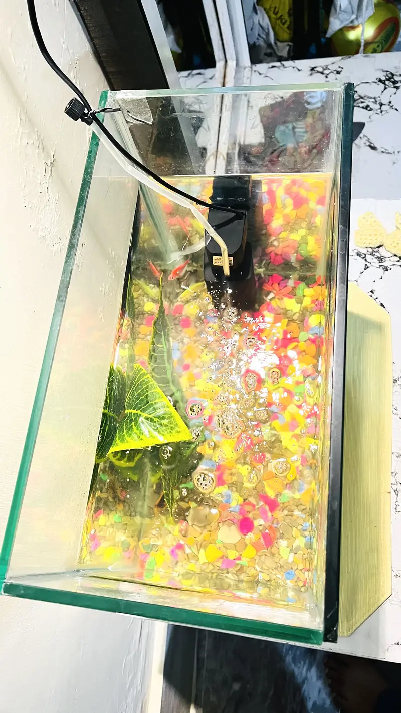 Glass Fish Aquarium for Sale – 16" x 16" x 9" — photo 2