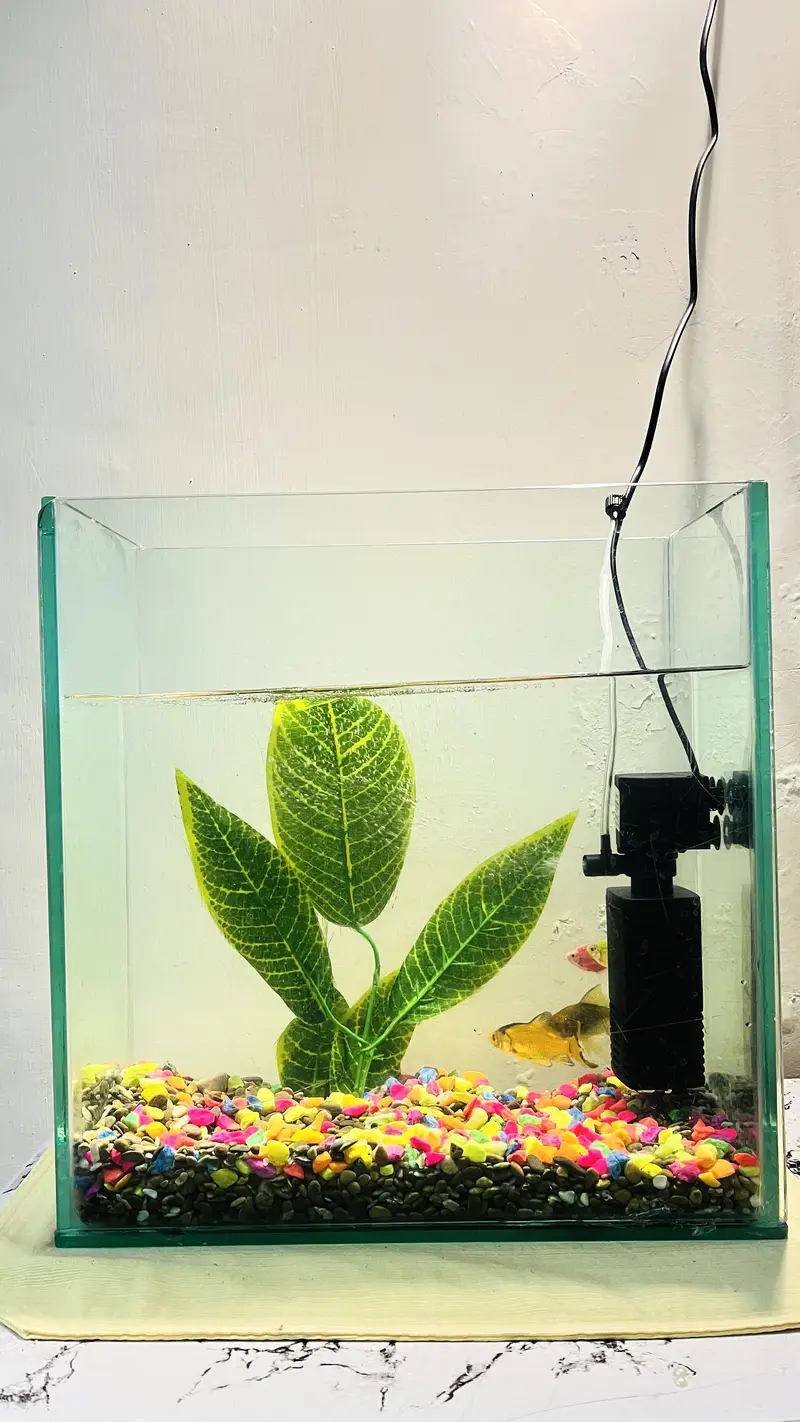 Glass Fish Aquarium for Sale – 16" x 16" x 9" — photo 5