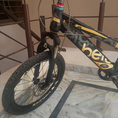 Sports cycle Mid Size