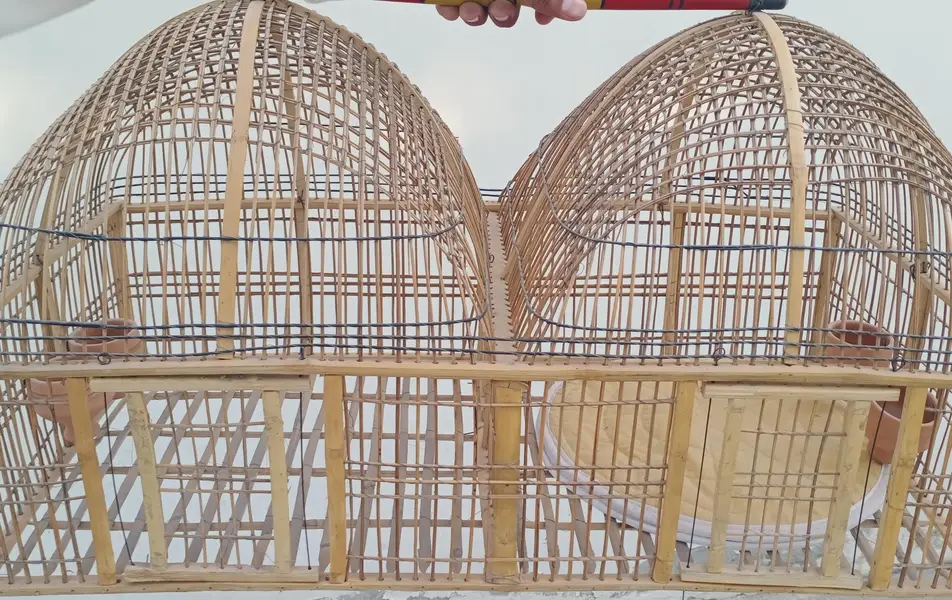 Cage for teetar, hens, or other bird couple — photo 3