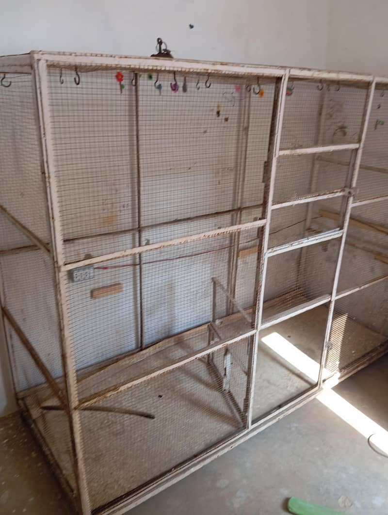 colony cage 0