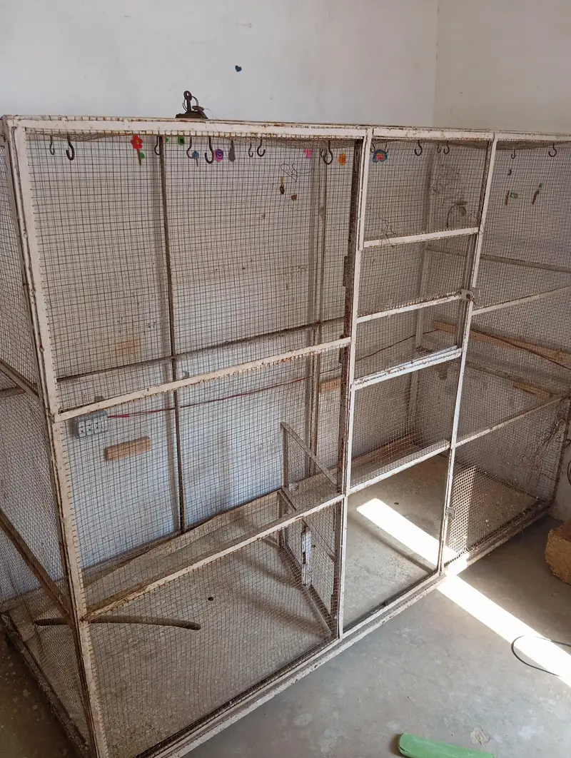 colony cage — photo 2