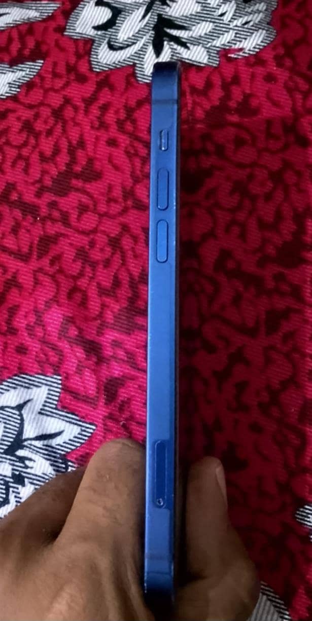 Apple iPhone 12 2
