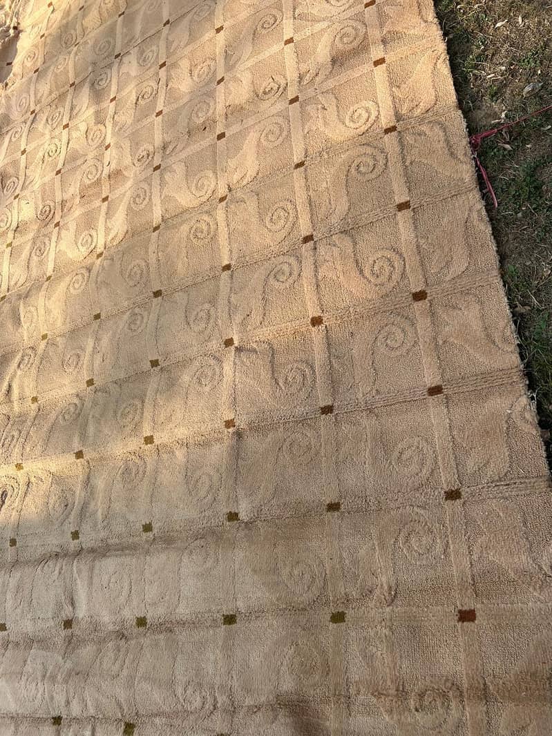 carpets 0